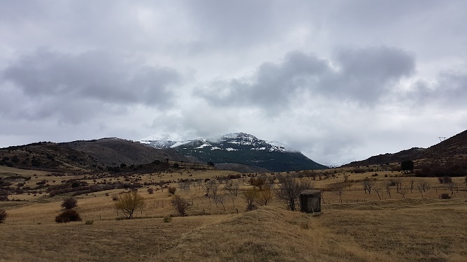 Daphne drinkt thee uitzicht over het spaanse landschap