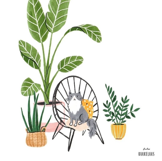 Kat op stoeltje met planten - Illustratie Rubriek sfeermakers - Studio Kuukeluus voor Zettje in de goede richting