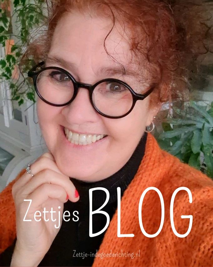 Profielfoto bij blog over waar een wil is, is niet altijd een weg - Zettje BLOG april - Werken-kunnen-willen-afgekeurd