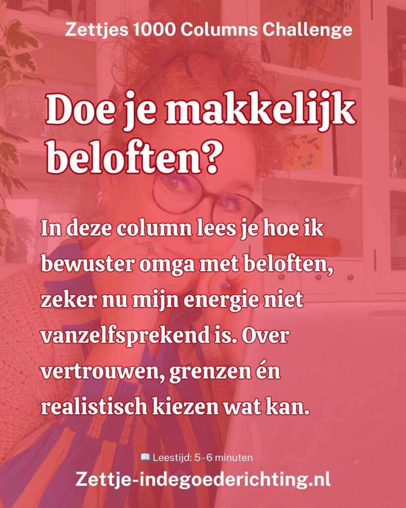 _1000 columns vragen challenge 278 - Doe je makkelijk beloften