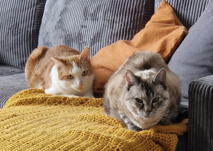 Mootje en James samen op de bank