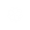Logo Zettje in de goede richting